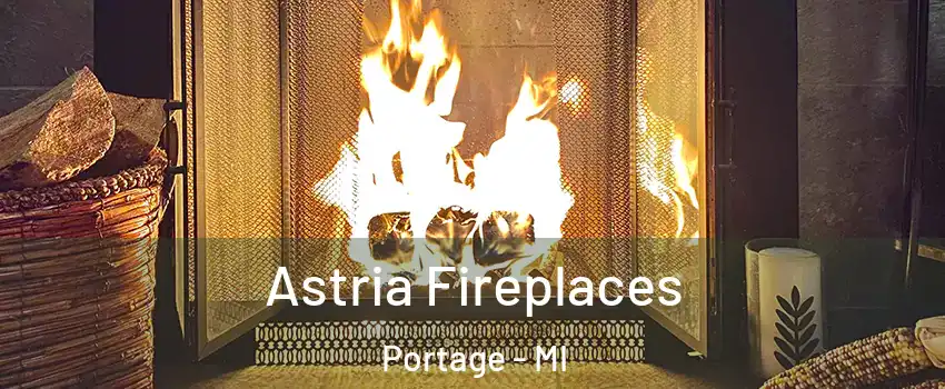  Astria Fireplaces Portage - MI