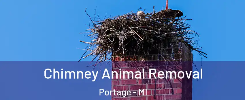 Chimney Animal Removal Portage - MI