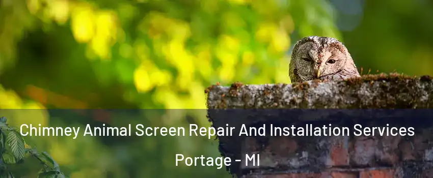 Chimney Animal Screen Repair And Installation Services Portage - MI