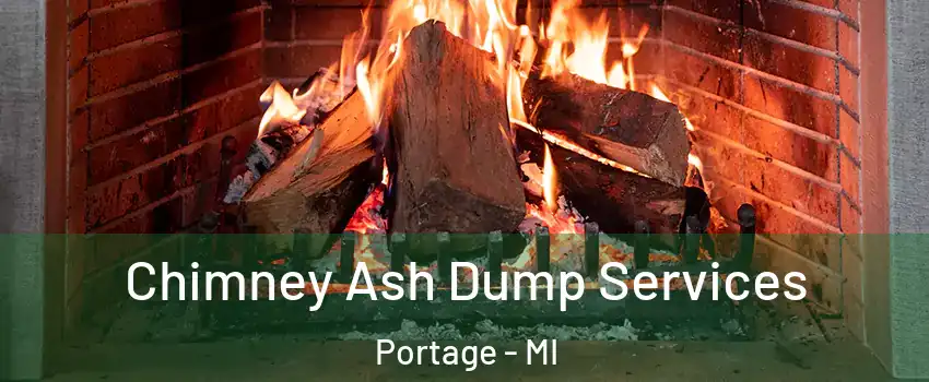  Chimney Ash Dump Services Portage - MI