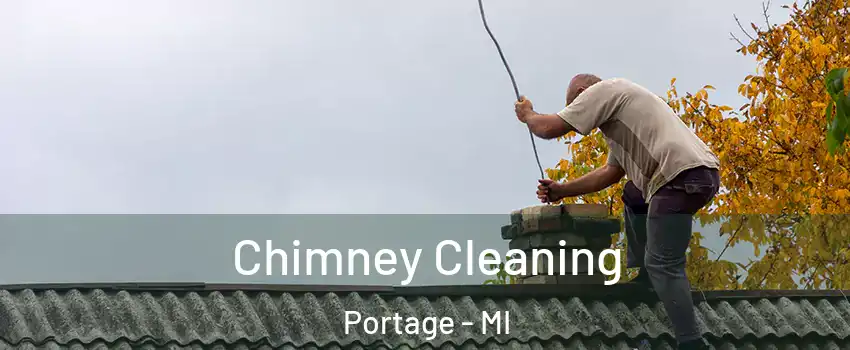  Chimney Cleaning Portage - MI