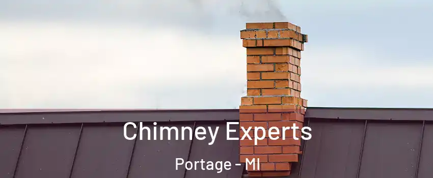  Chimney Experts Portage - MI