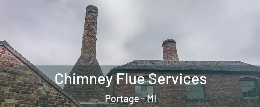  Chimney Flue Services Portage - MI