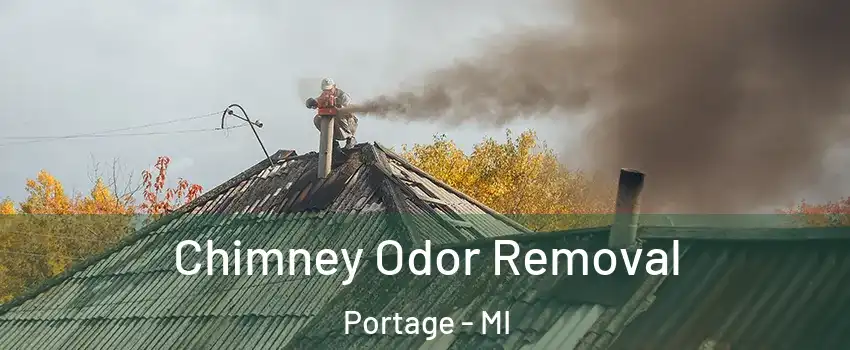  Chimney Odor Removal Portage - MI