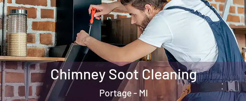  Chimney Soot Cleaning Portage - MI