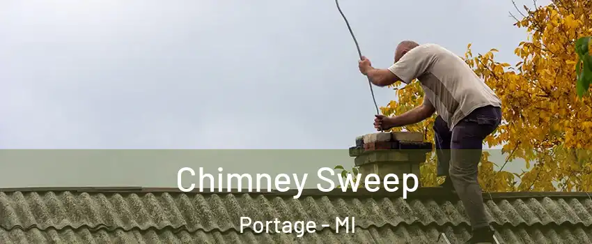  Chimney Sweep Portage - MI