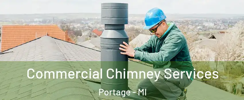  Commercial Chimney Services Portage - MI