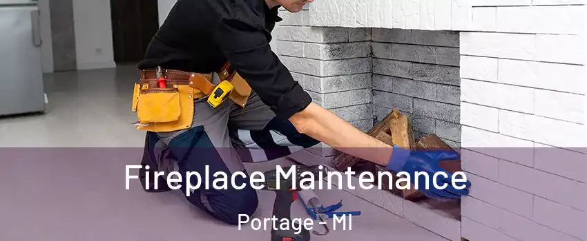  Fireplace Maintenance Portage - MI