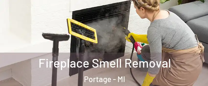 Fireplace Smell Removal Portage - MI