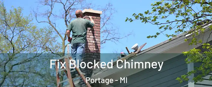  Fix Blocked Chimney Portage - MI