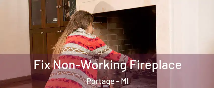  Fix Non-Working Fireplace Portage - MI