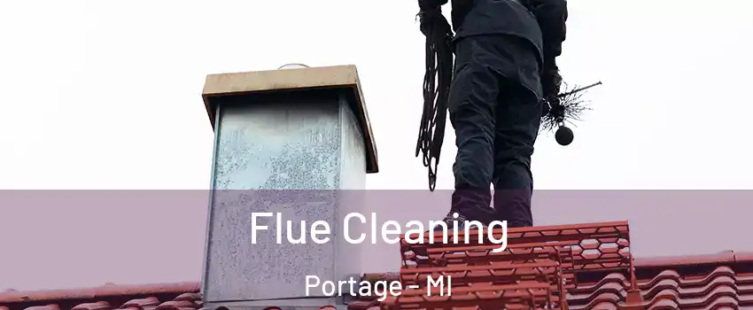  Flue Cleaning Portage - MI