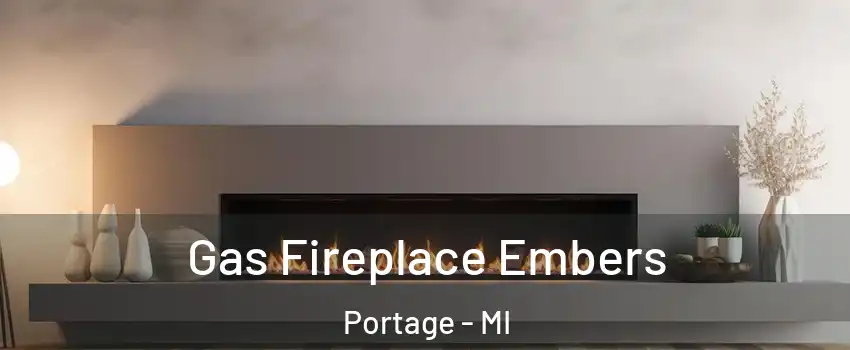  Gas Fireplace Embers Portage - MI