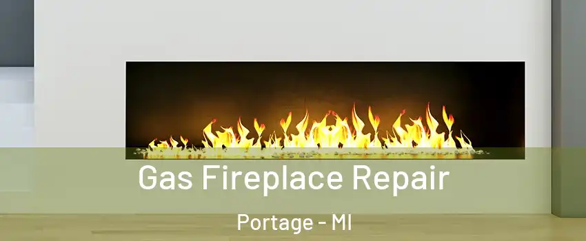  Gas Fireplace Repair Portage - MI