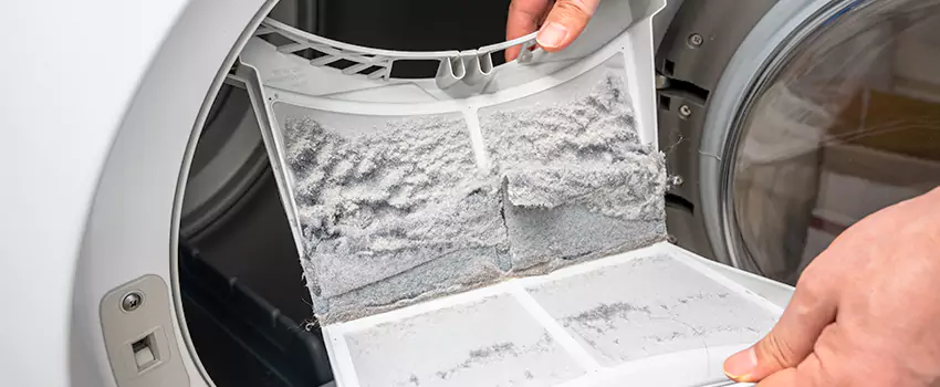 Best Dryer Lint Removal Company in Portage, Michigan