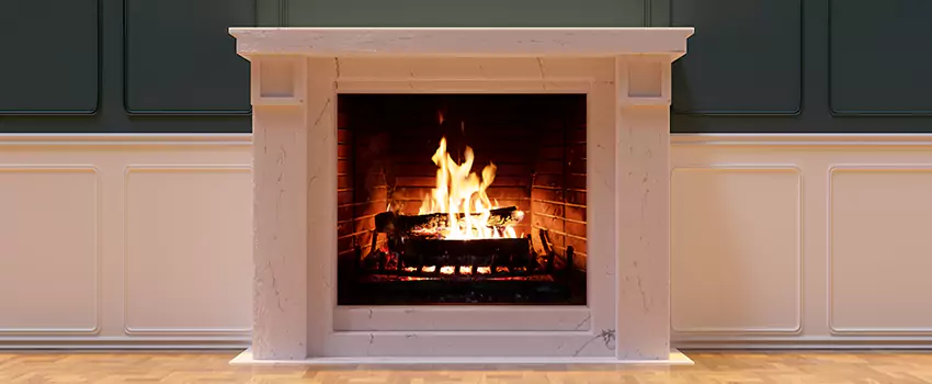 Empire Comfort Systems Fireplace Installation and Replacement in Portage, Michigan
