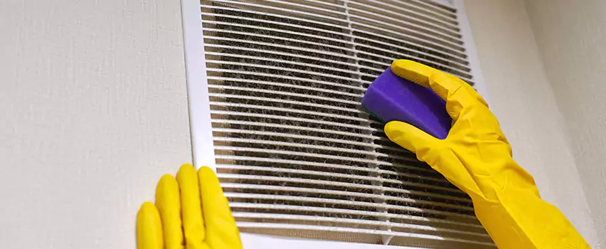 Vent Cleaning Company in Portage, MI