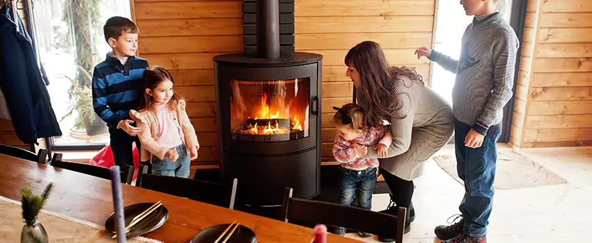 Jøtul Gas Fireplace Inspection Service in Portage, Michigan