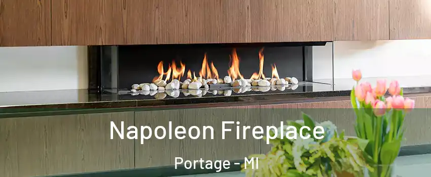  Napoleon Fireplace Portage - MI