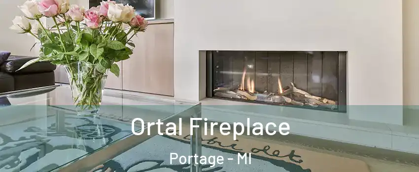Ortal Fireplace Portage - MI