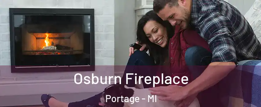  Osburn Fireplace Portage - MI