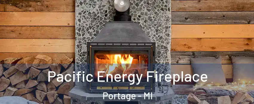 Pacific Energy Fireplace Portage - MI